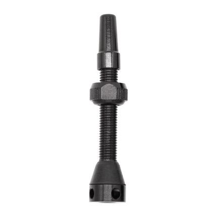 Tubeless Valve for Inserts